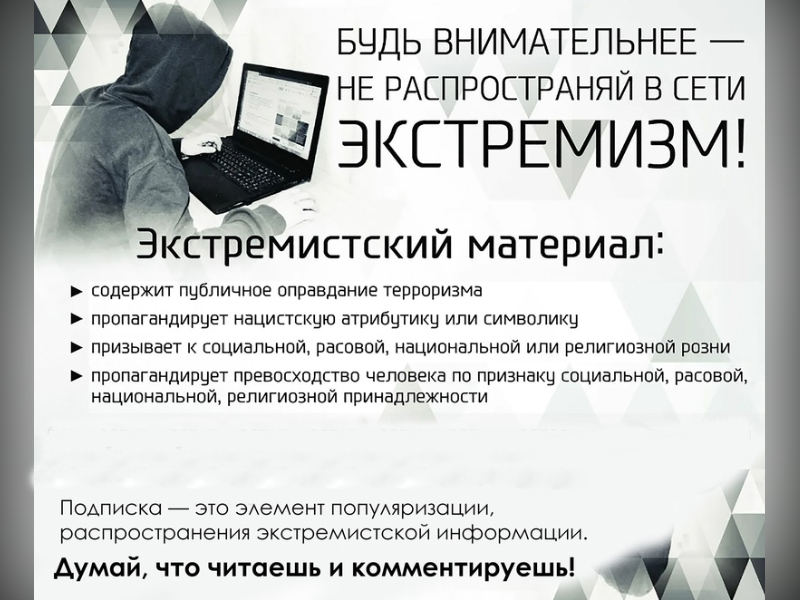 Противодействие распространению экстремизма в сети Интернет.