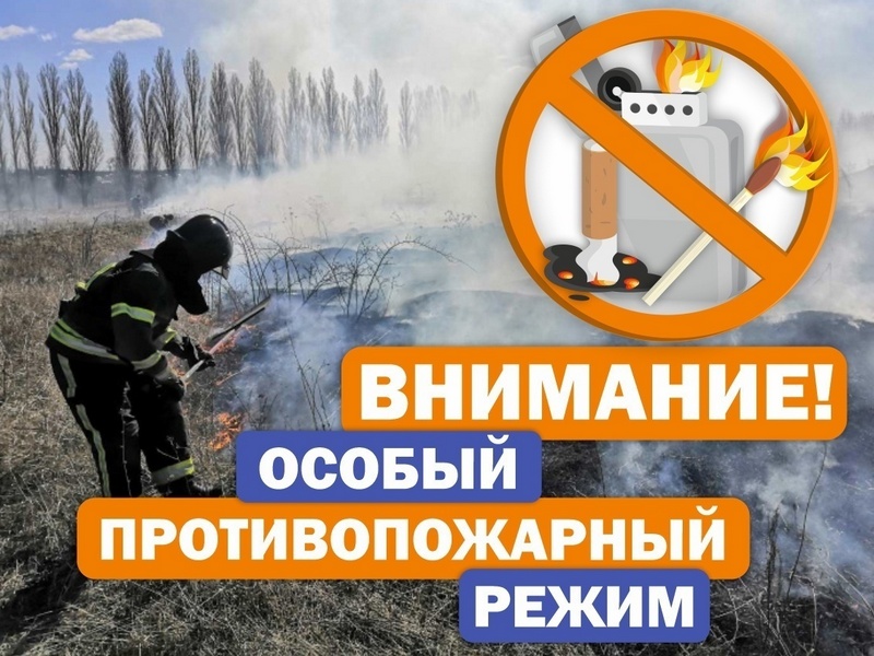 С 11 апреля 2024 года на территории Алтайского края введен особый противопожарный режим.