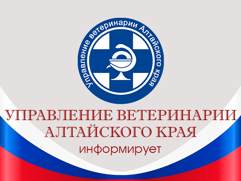 Роль пчел в природе.